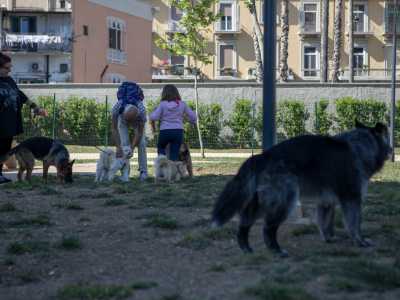 Le aree cani di Bari
